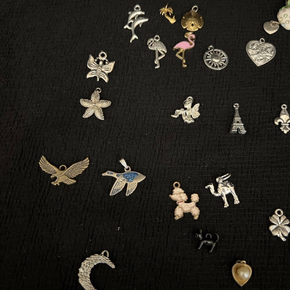 Mixed Charm Lot Jewelry Animals Beach Tropical Paris Fairy Cruise Ship Craft Lot - Picture 2 of 16